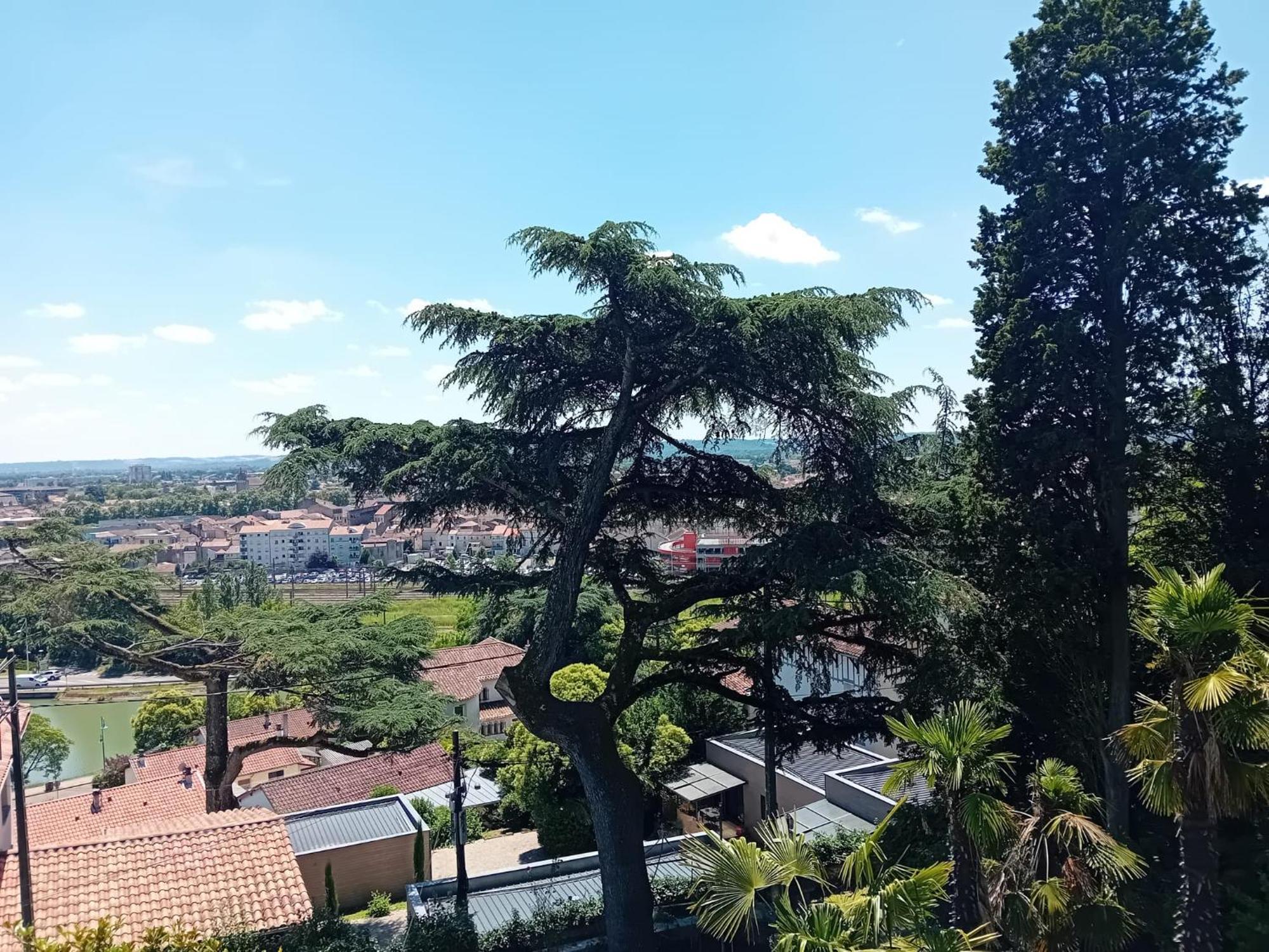 Villa Saint Vincent Agen Esterno foto